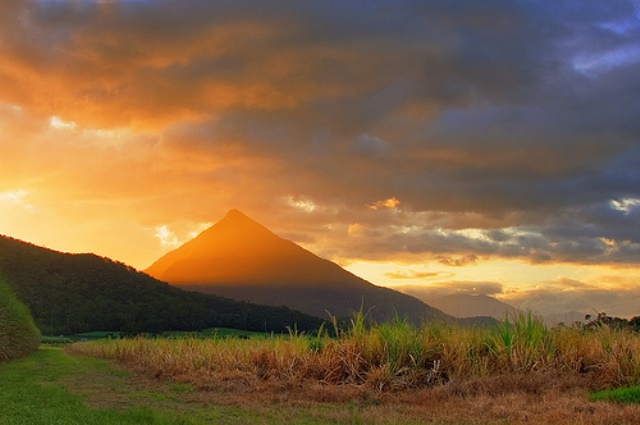 Real Estate Cairns South