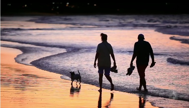 Jason Mills: 7 Yorlambu Pde, Maroochydore