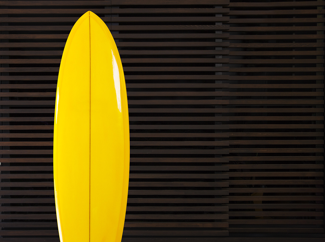 Surfboard image - Ray White_Know How - Landscape - Low res Surfboard image - Ray White_Know How - Landscape - Low res