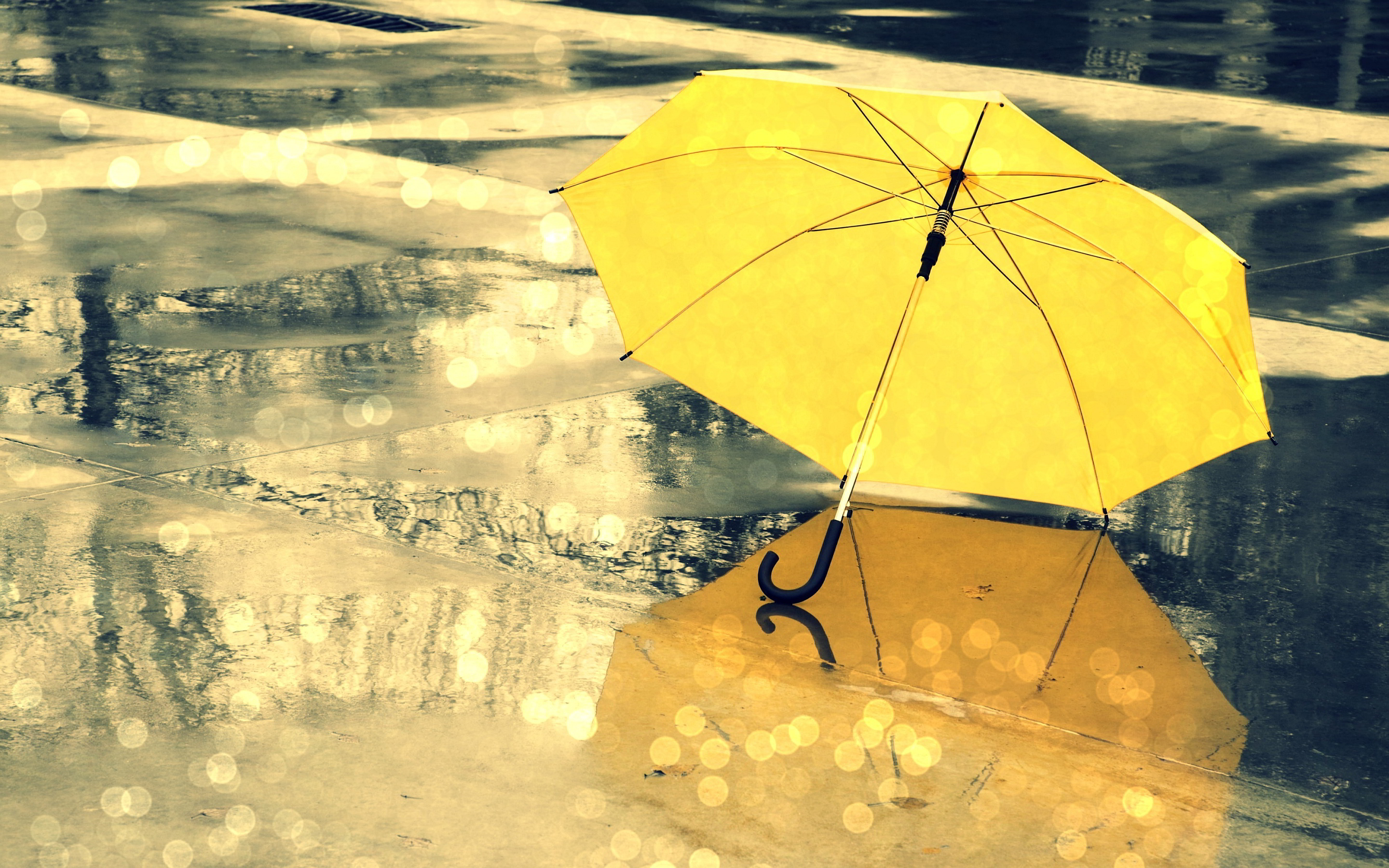 7014462-yellow-umbrella-rain 7014462-yellow-umbrella-rain