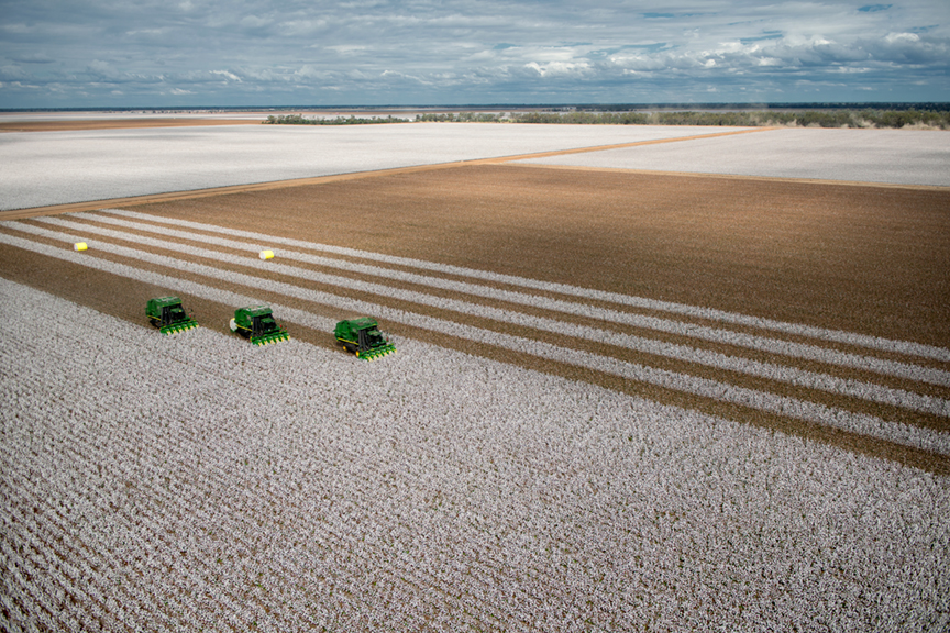 Properties for sale in Goondiwindi and nearby Ray White Rural Goondiwindi