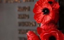 poppy