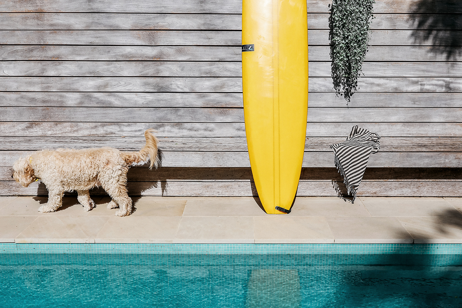 Homes for rent in Mannering Park Ray White Toronto, North Lake