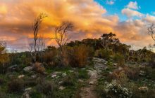 para-wirra-family-fun-day-september-18-sunday-cons