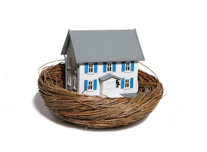 House in nest