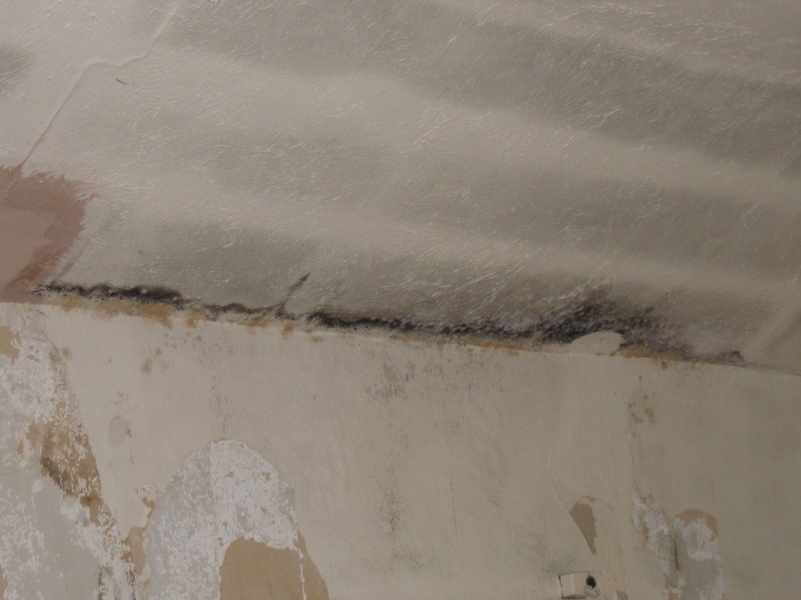Dealing With Damp And Condensation In Kiwi Homes News