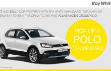 Website Image CrossPolo